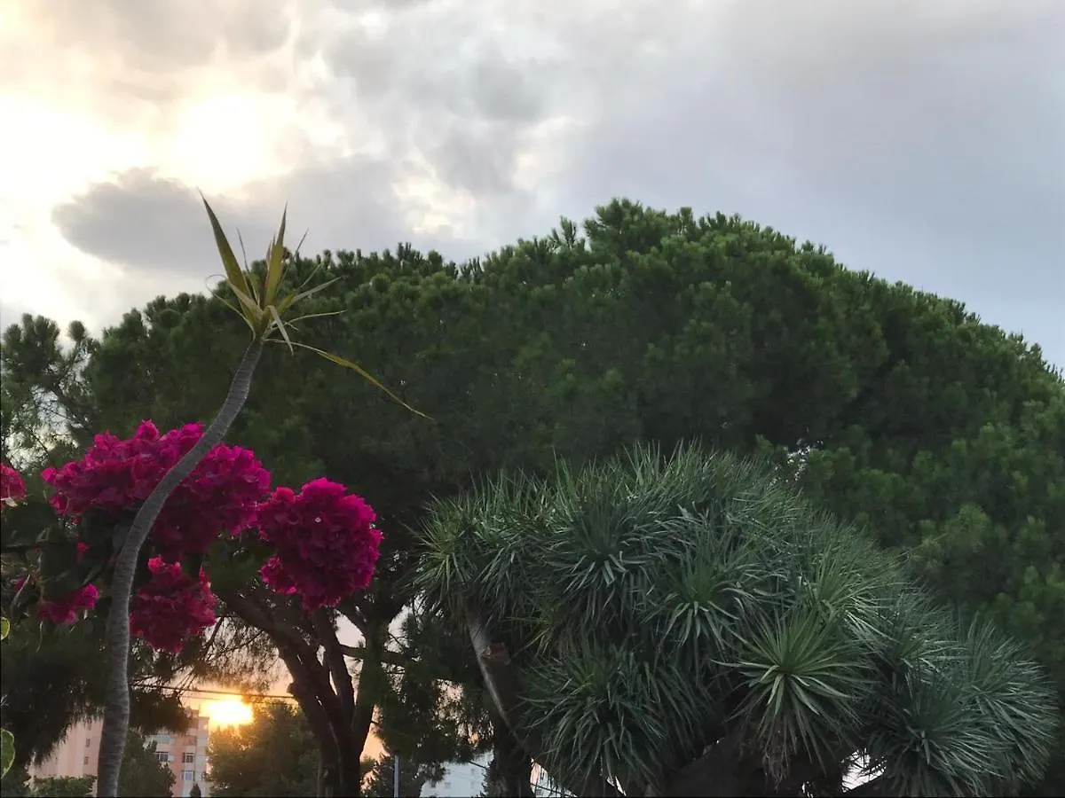 Estudio Imperio Apartamento Benalmádena